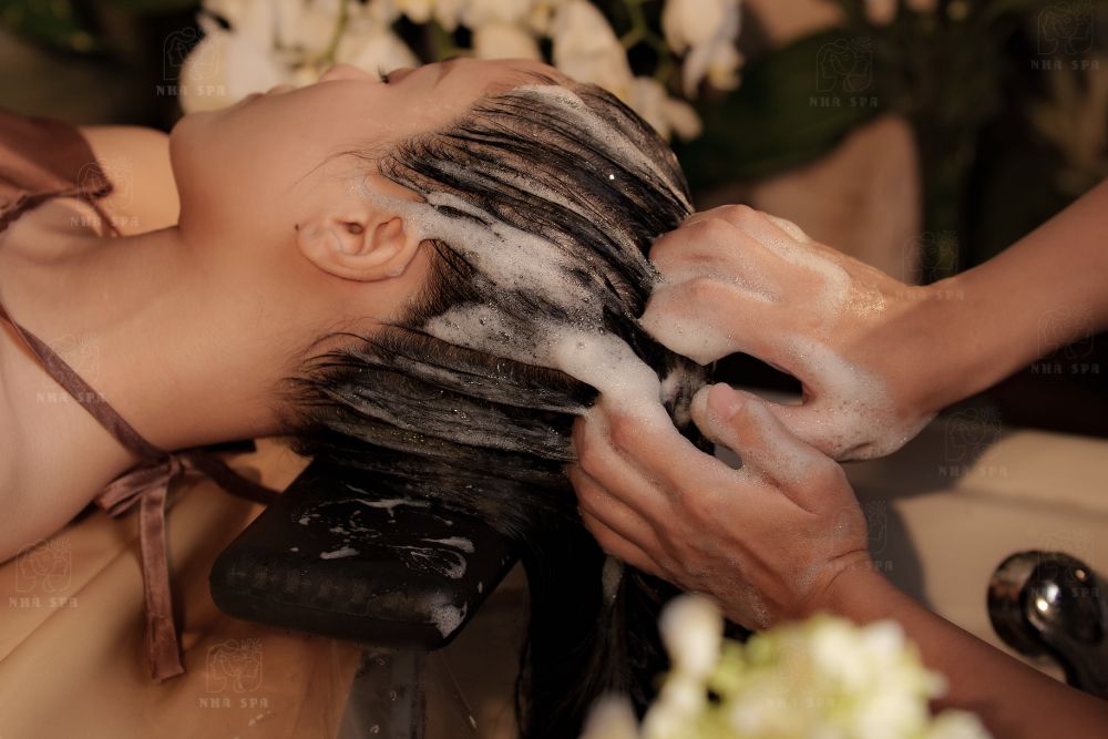 Gội đầu thải độc Ngải Cứu