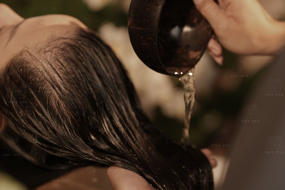 Gội đầu thải độc Ngải Cứu
